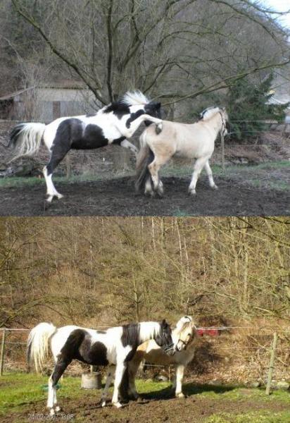 1 ans deja