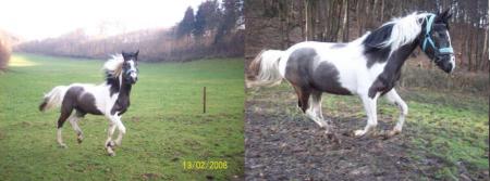 prairie le 13/02/08