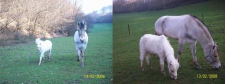 prairie le 13/02/08