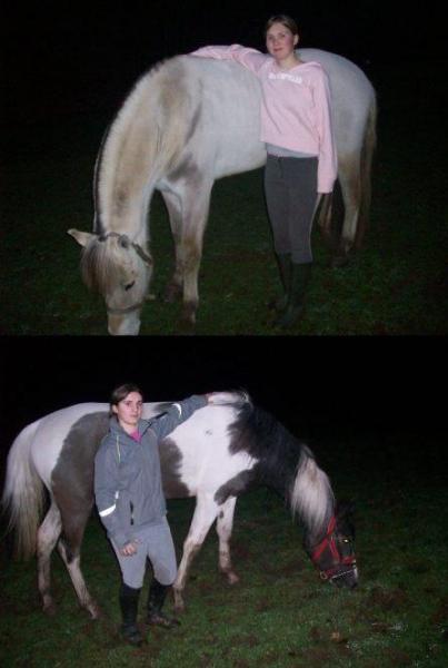 nous 4 le 11/02/08