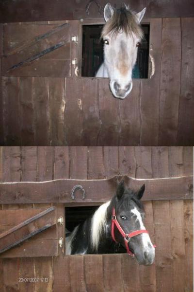 black and white et eiken